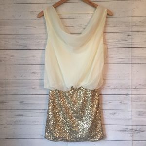 Foreign Exchange Form Fitted Cream and Gold Dress